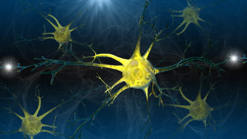 Breakthrough Optogenetics Research Offers New Hope for Vision Loss in Retinitis Pigmentosa