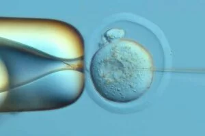 Mapping Mouse Development: DNA Typewriter and PEtracer Unveil Cellular Lineages